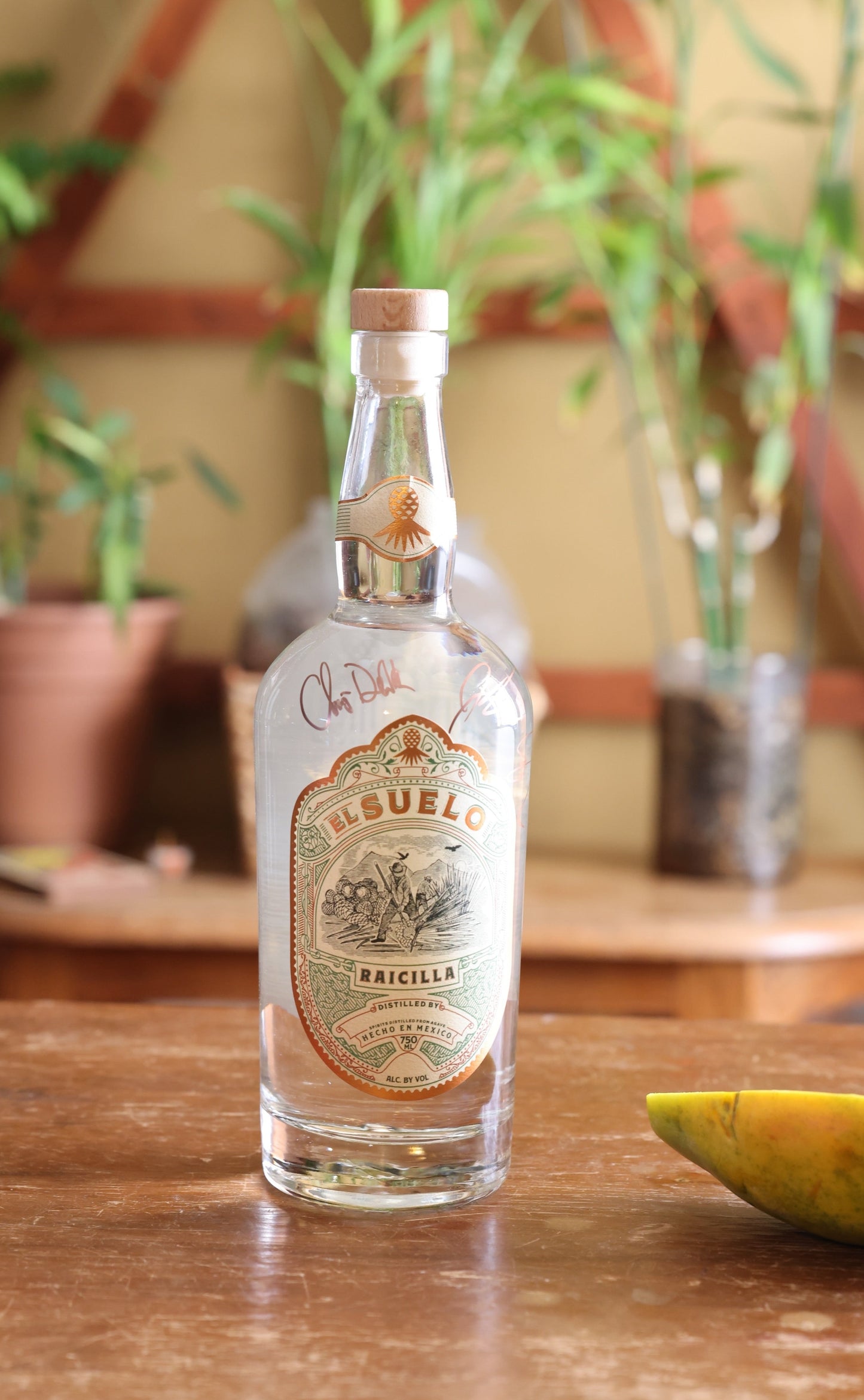 El Suelo Chico Aguiar (Winner NY International Spirits Competition 93 Points Silver Medal)